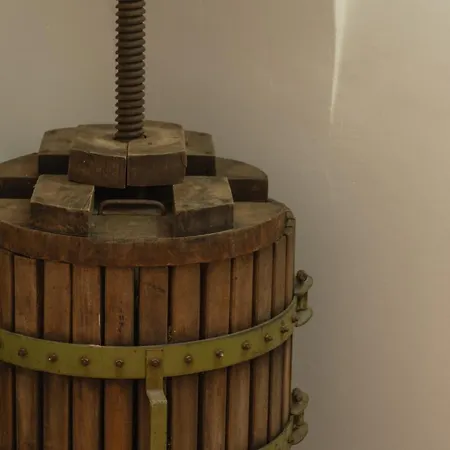 Domus Messapia Ceglie Messapica